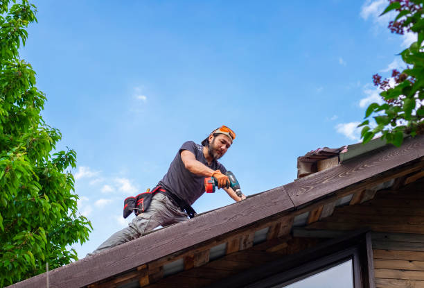 Best Roof Coating and Sealing  in Lake Holm, WA