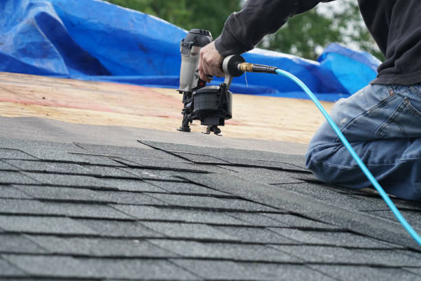 Best Metal Roofing Installation  in Lake Holm, WA
